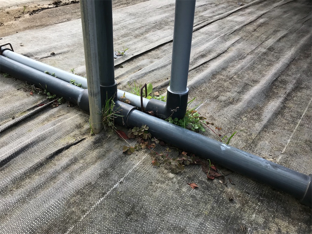 f:id:tty-kanzaki:20181004132911j:image