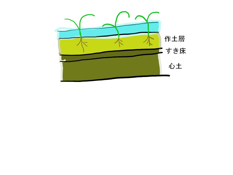 f:id:tty-kanzaki:20190124213407j:plain