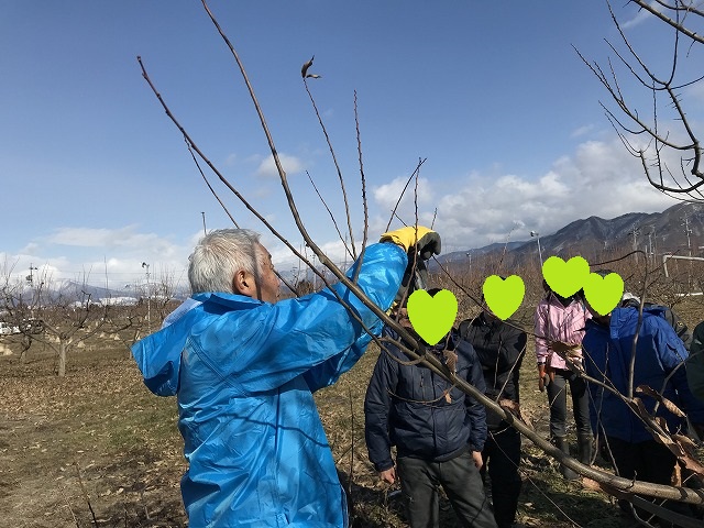 f:id:tty-kanzaki:20190214115007j:plain