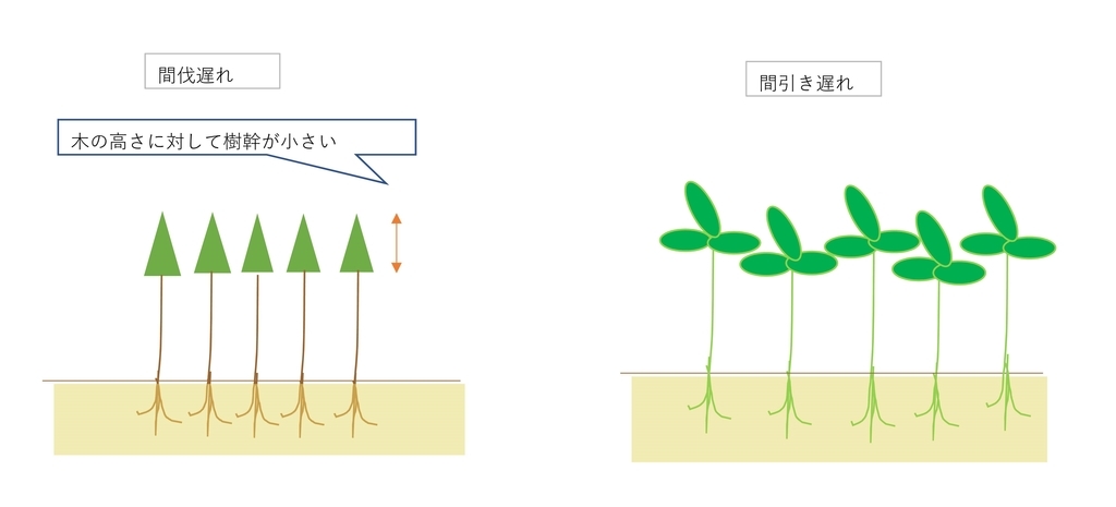 f:id:tty-kanzaki:20190311095633j:plain