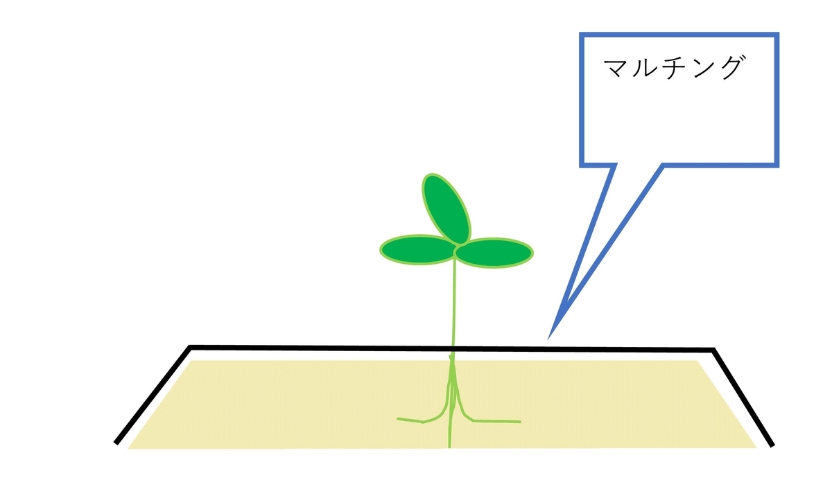 f:id:tty-kanzaki:20190327164646j:plain