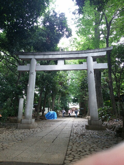f:id:ttyuzuyuzu:20171001115732j:image