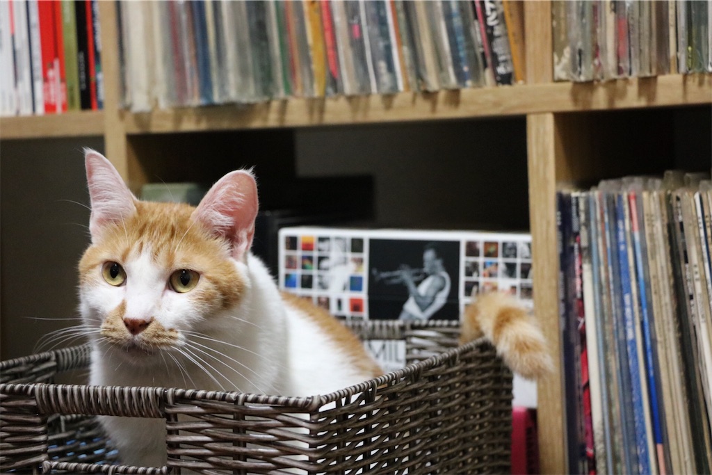 f:id:ttyymsk2016:20170826163720j:image f:id:ttyymsk2016:20170826163720j:image