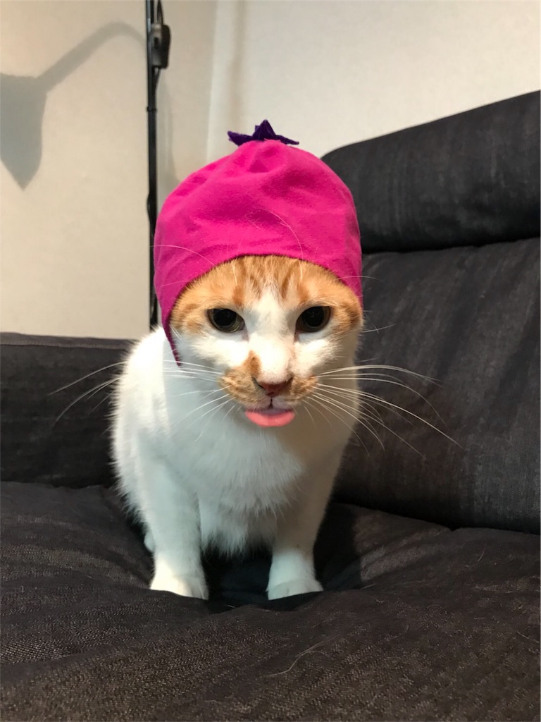 f:id:ttyymsk2016:20180307180125j:image