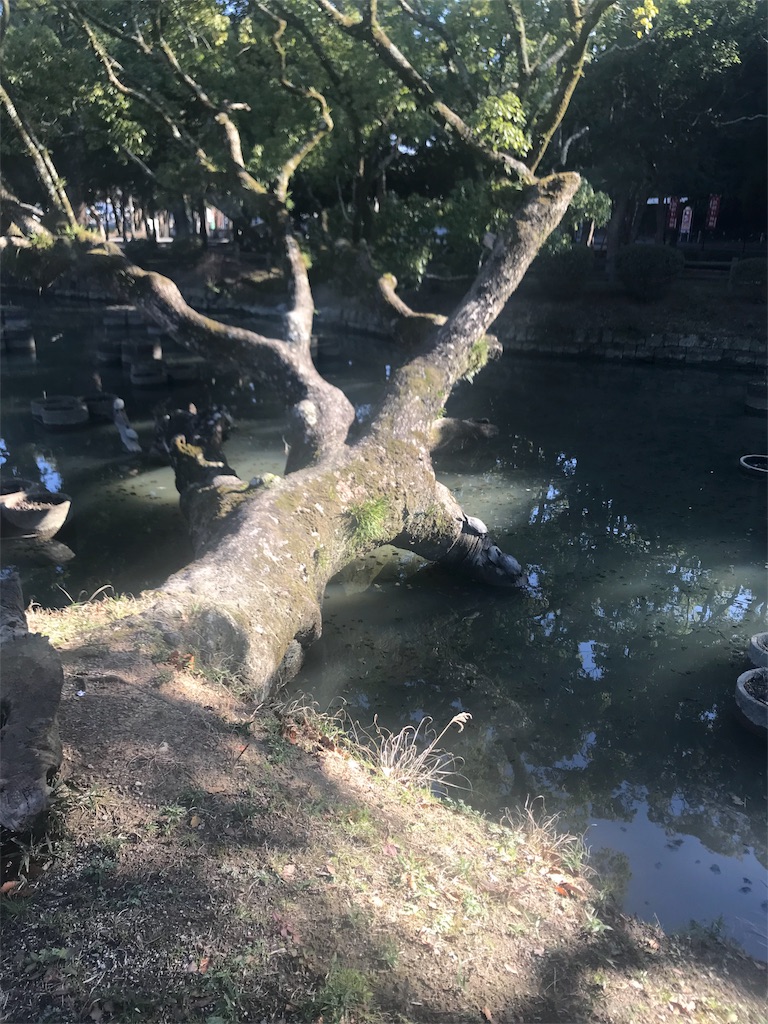 f:id:ttyymsk2016:20180307180151j:image