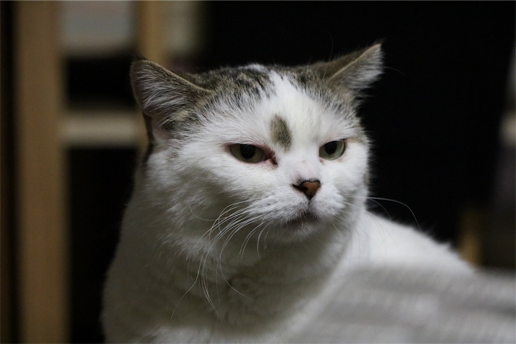 f:id:ttyymsk2016:20180811141933j:image