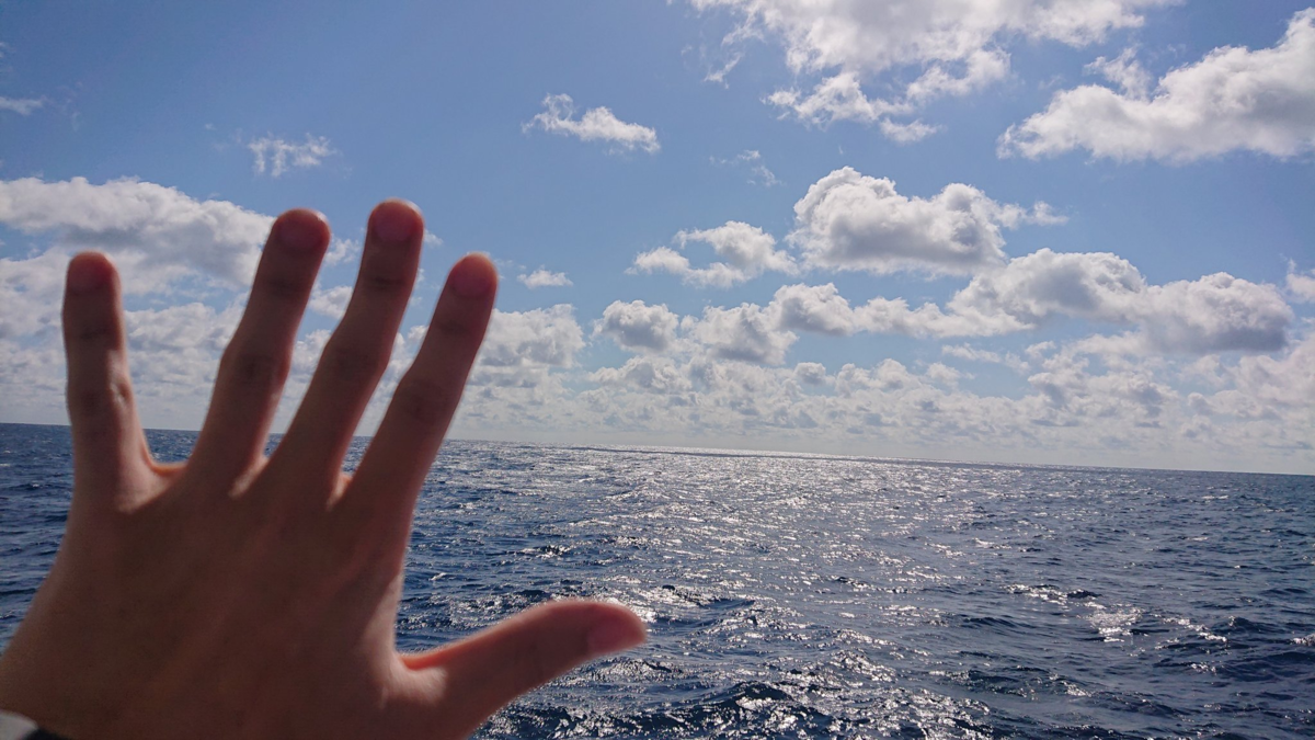 f:id:ttzack1007346:20210621175023p:plain