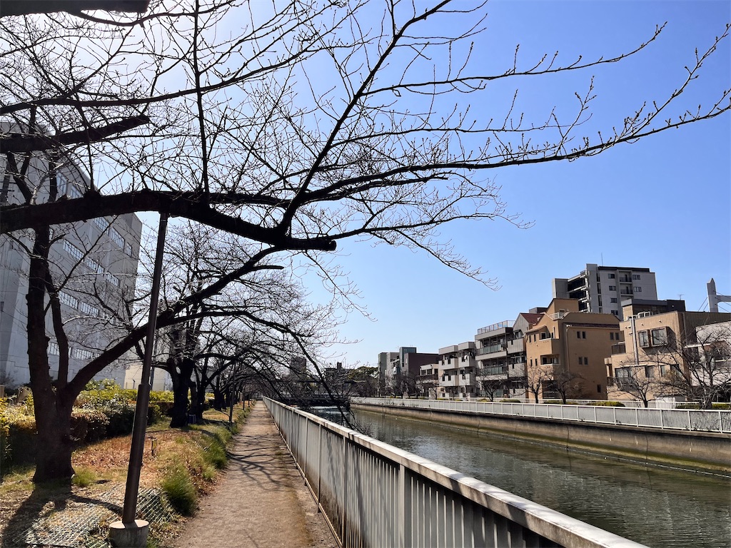 f:id:tu-na-ma-yo:20260310125250j:image