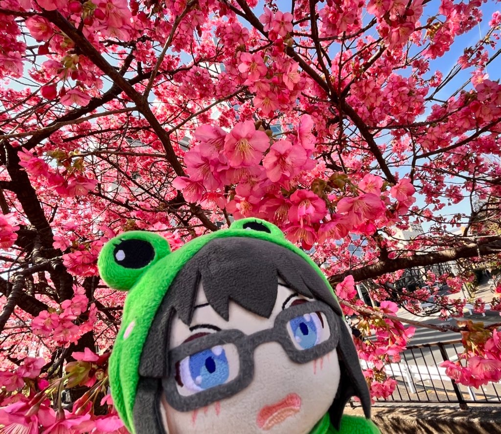 f:id:tu-na-ma-yo:20260310125259j:image