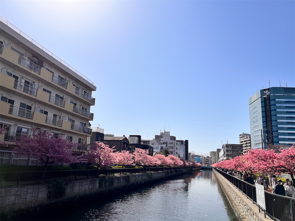 f:id:tu-na-ma-yo:20260310125307j:image