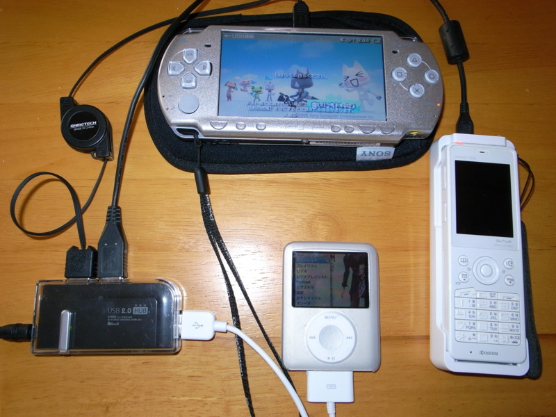 f:id:tualatin:20090301094619j:image