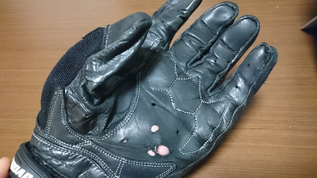 f:id:tubaki_30:20190213225131j:plain