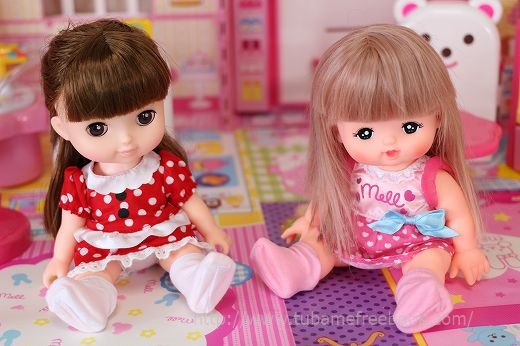 レミン&ソランメルちゃん買うならどっちおすすめ f:id:tubame8:20180329141642j:plain