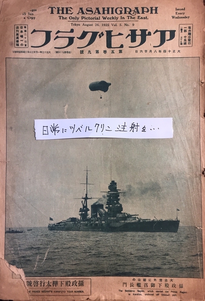 f:id:tuberculin:20190116231758j:plain f:id:tuberculin:20190116231758j:plain