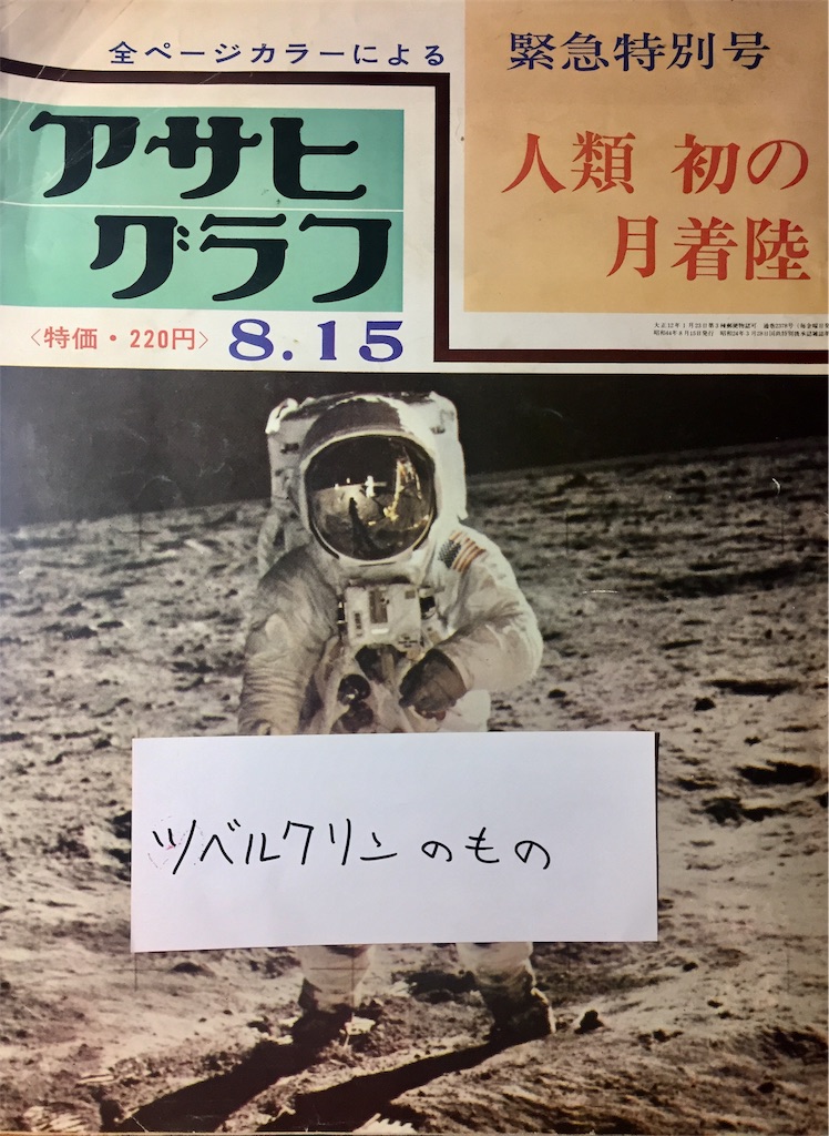 f:id:tuberculin:20190317225417j:image