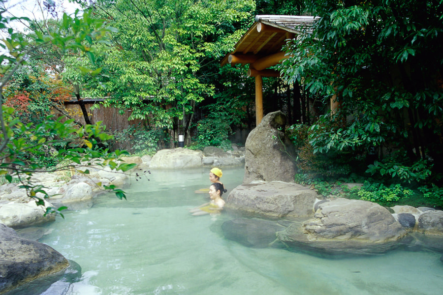 f:id:tuberculin:20190401171529j:plain f:id:tuberculin:20190401171529j:plain