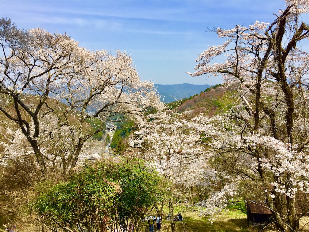 f:id:tuberculin:20190407211825j:image f:id:tuberculin:20190407211825j:image