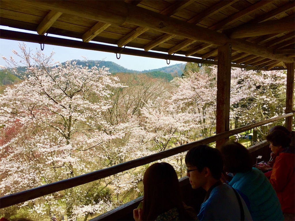 f:id:tuberculin:20190407211855j:image f:id:tuberculin:20190407211855j:image