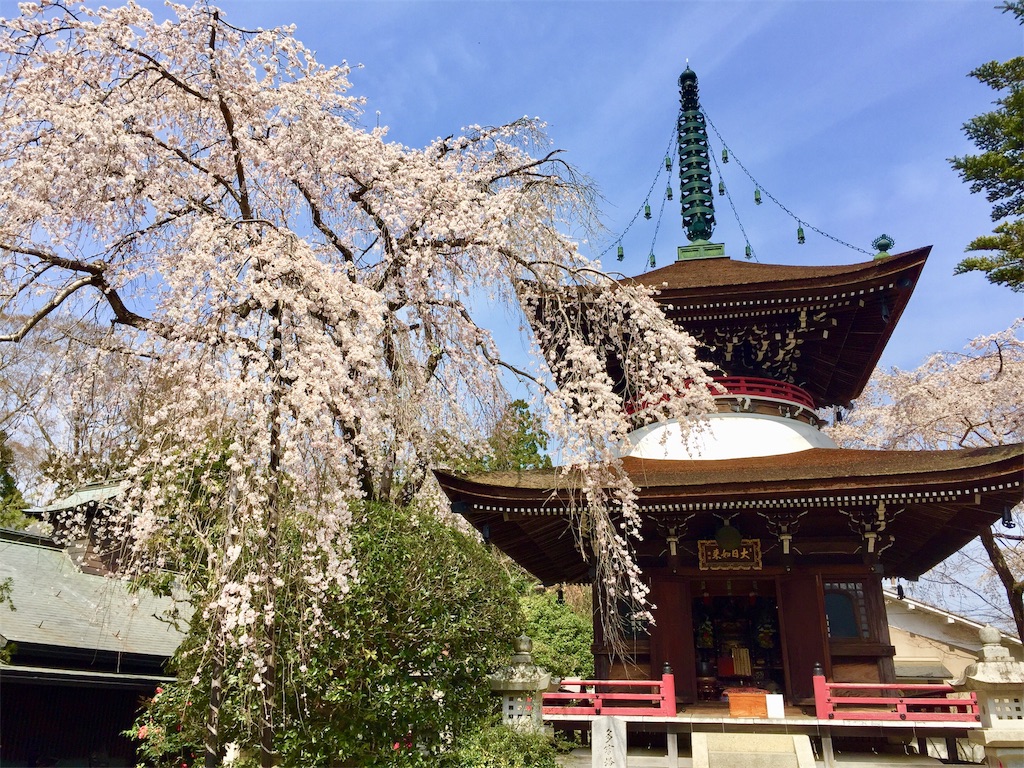 f:id:tuberculin:20190407212138j:image f:id:tuberculin:20190407212138j:image