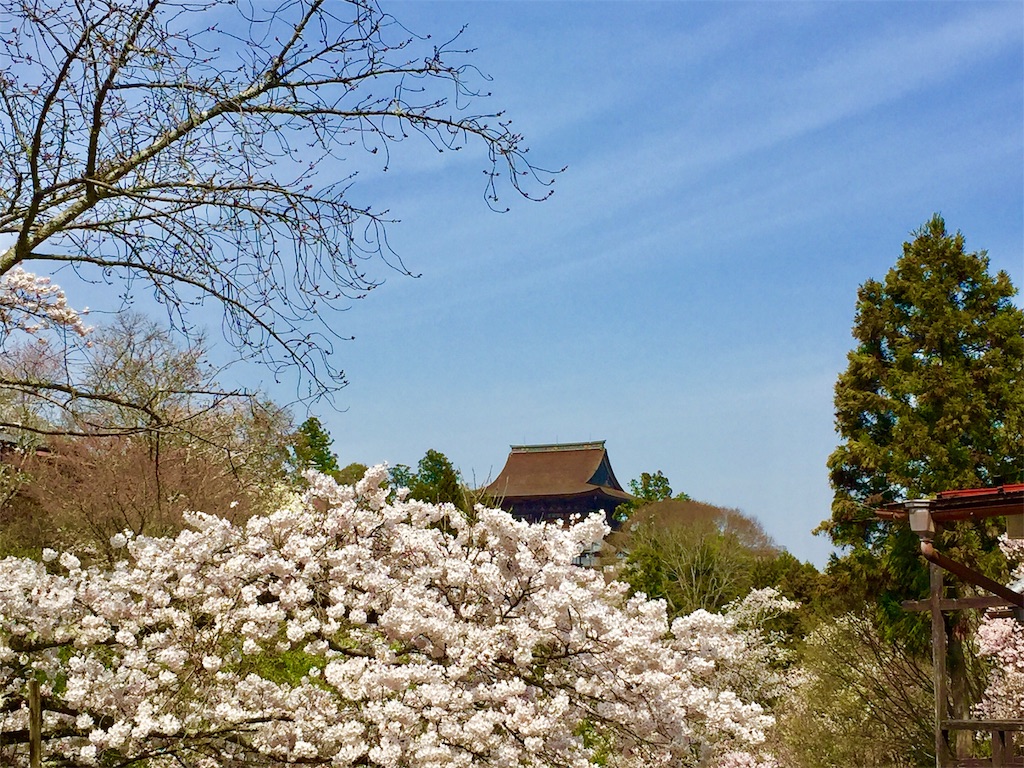 f:id:tuberculin:20190407212208j:image f:id:tuberculin:20190407212208j:image