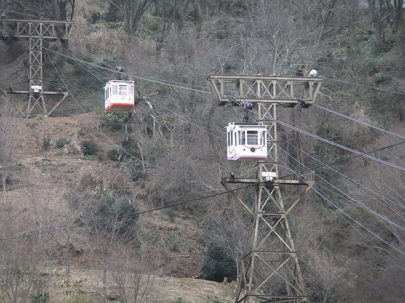 f:id:tuberculin:20190408224603j:plain f:id:tuberculin:20190408224603j:plain