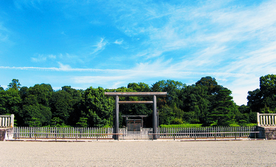 f:id:tuberculin:20190410211955j:plain