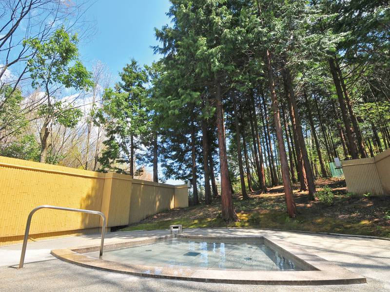 f:id:tuberculin:20190430081239j:plain f:id:tuberculin:20190430081239j:plain