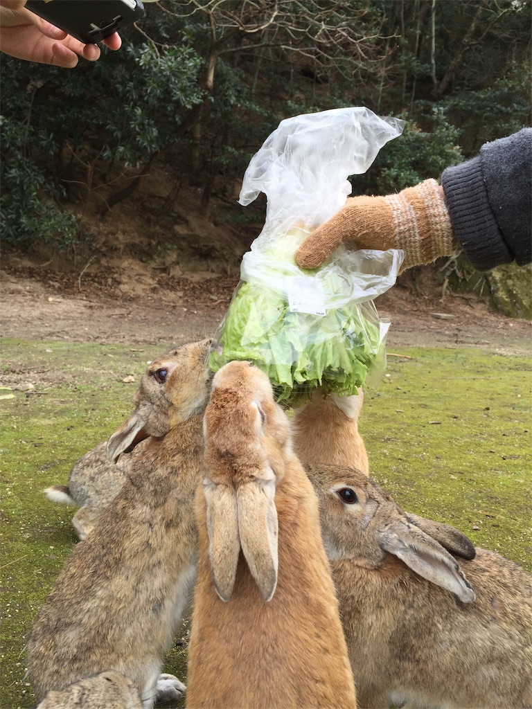 f:id:tuberculin:20190515094410j:image