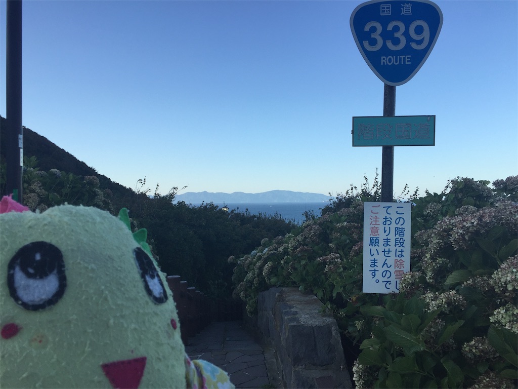 f:id:tuberculin:20190515143809j:image