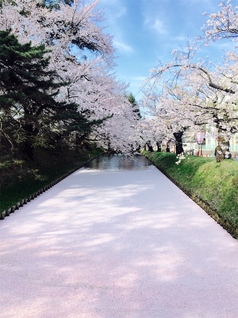 f:id:tuberculin:20190515143817j:image