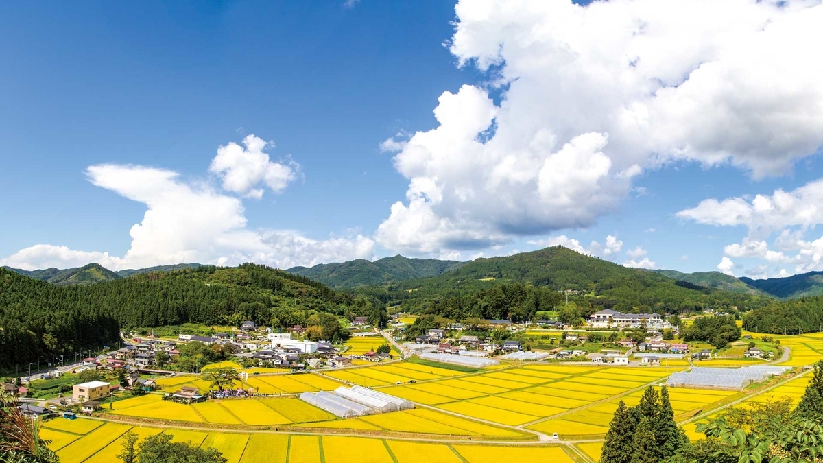 f:id:tuberculin:20190515210925j:plain