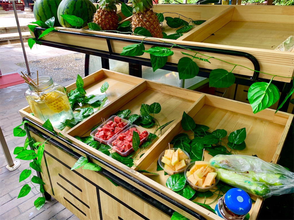 f:id:tuberculin:20190623175242j:image