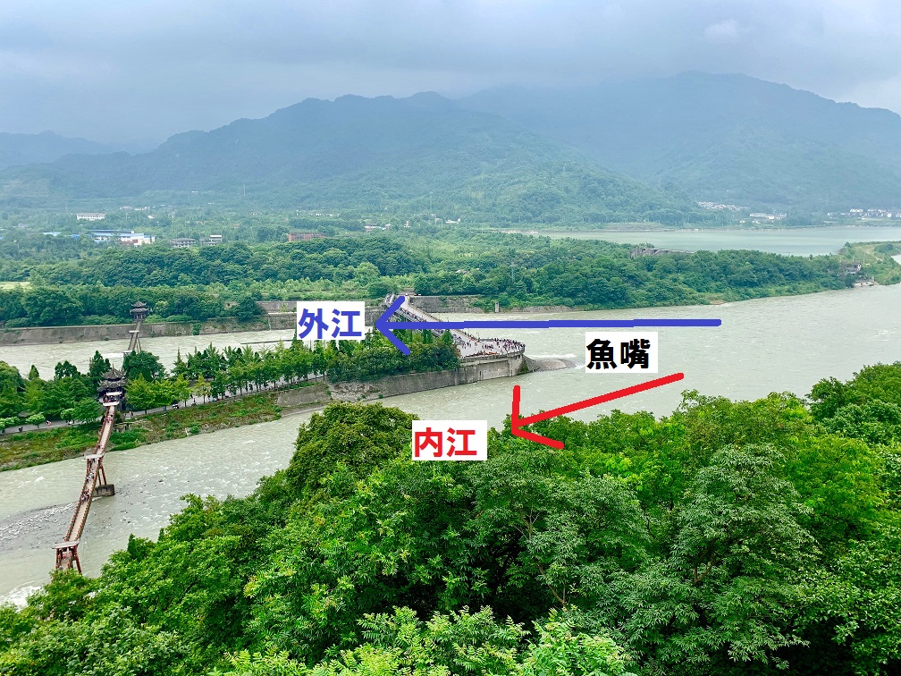 f:id:tuberculin:20190624140945j:plain