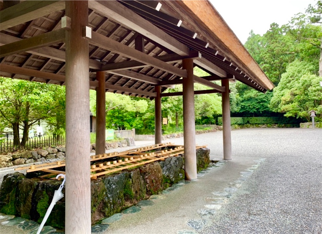 f:id:tuberculin:20190720160535j:image f:id:tuberculin:20190720160535j:image