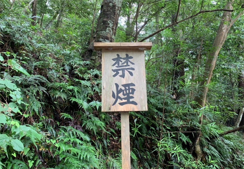 f:id:tuberculin:20190720160733j:image f:id:tuberculin:20190720160733j:image