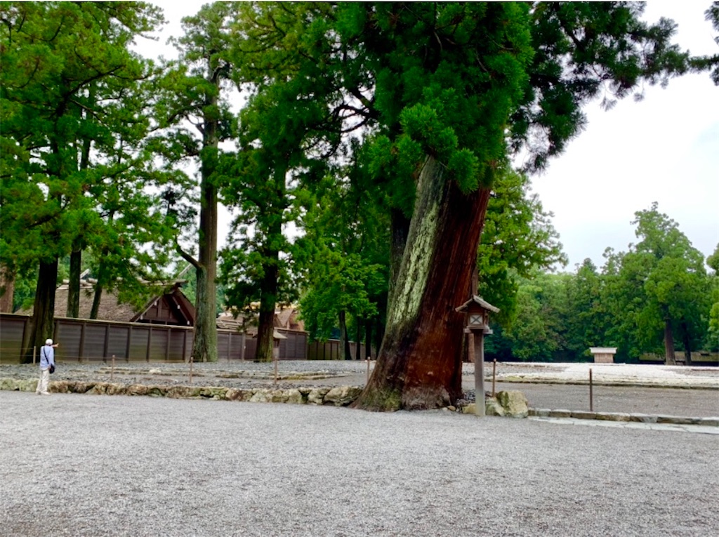 f:id:tuberculin:20190720160748j:image f:id:tuberculin:20190720160748j:image