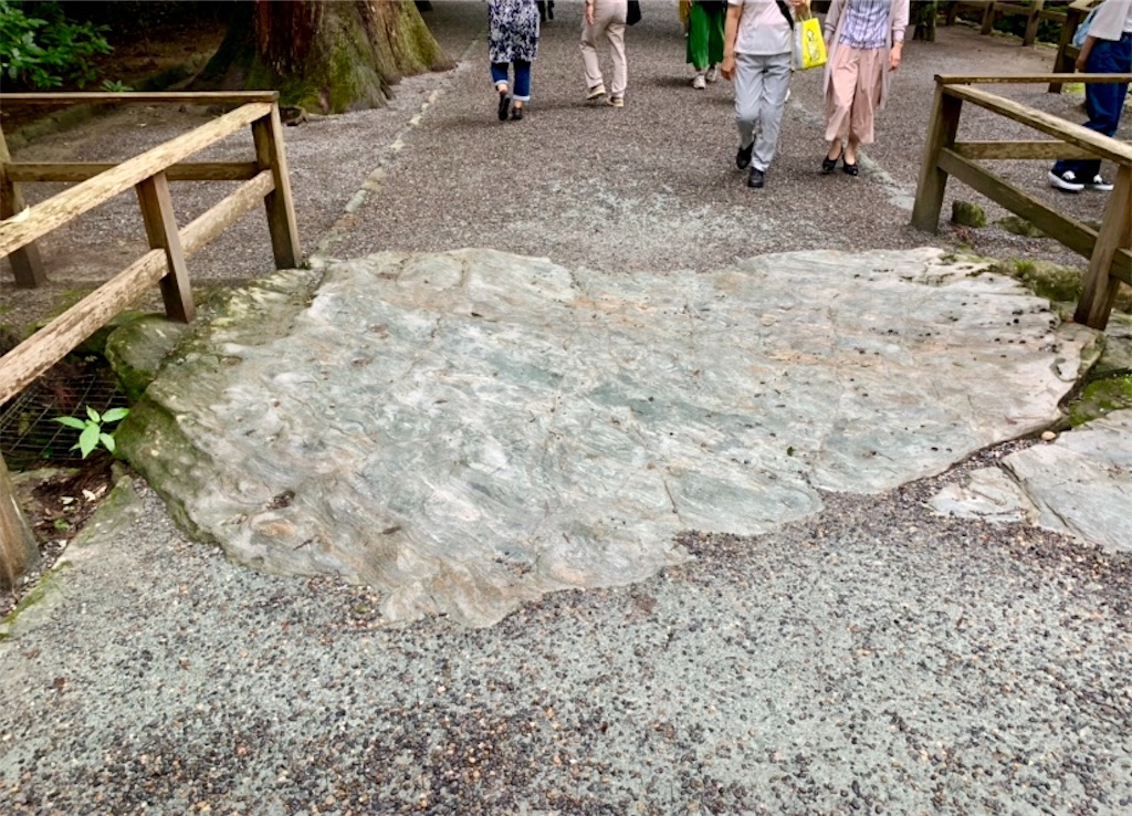 f:id:tuberculin:20190720160833j:image f:id:tuberculin:20190720160833j:image