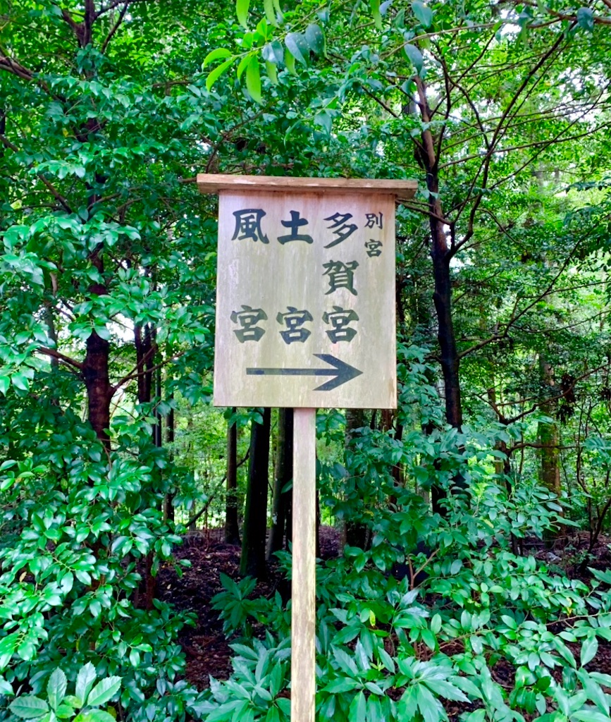 f:id:tuberculin:20190720160840j:image f:id:tuberculin:20190720160840j:image