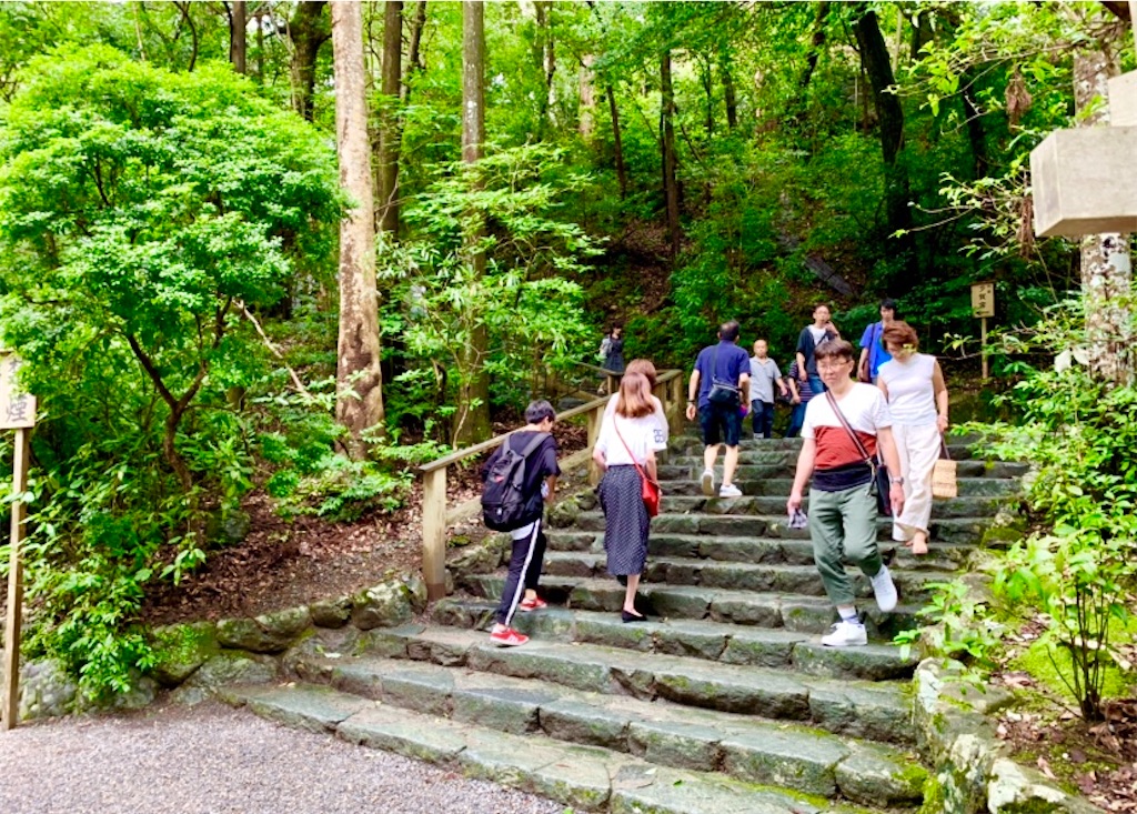 f:id:tuberculin:20190720161025j:image f:id:tuberculin:20190720161025j:image