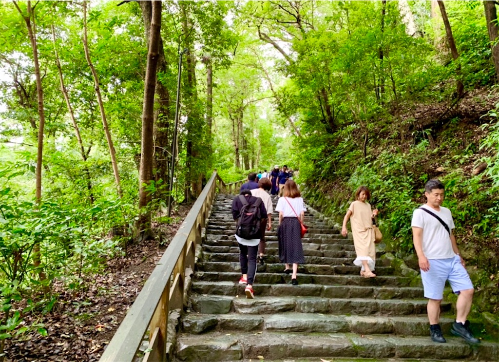 f:id:tuberculin:20190720161029j:image f:id:tuberculin:20190720161029j:image