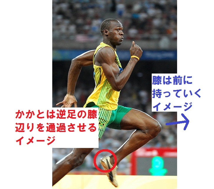 f:id:tuberculin:20190730122142j:plain f:id:tuberculin:20190730122142j:plain