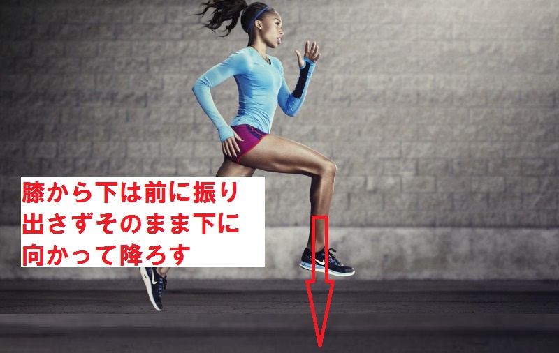 f:id:tuberculin:20190730123537j:plain f:id:tuberculin:20190730123537j:plain