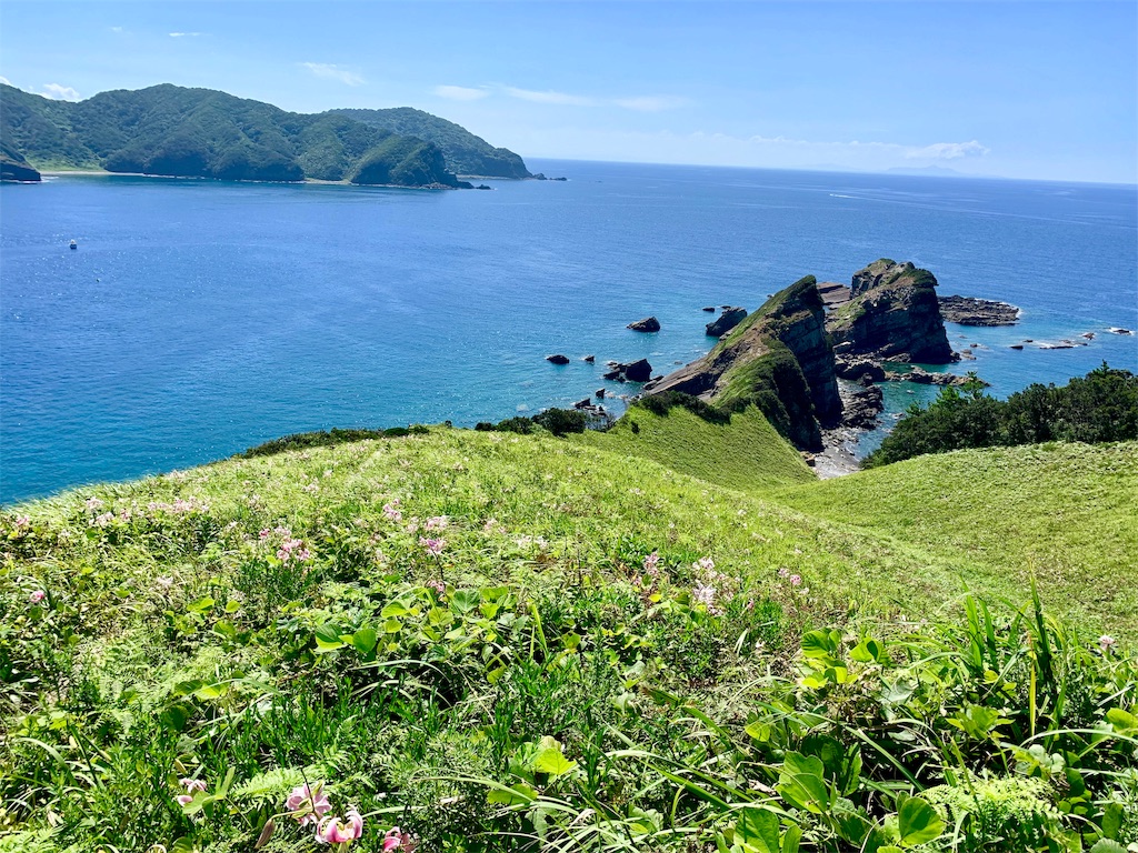 f:id:tuberculin:20190802135201j:image f:id:tuberculin:20190802135201j:image