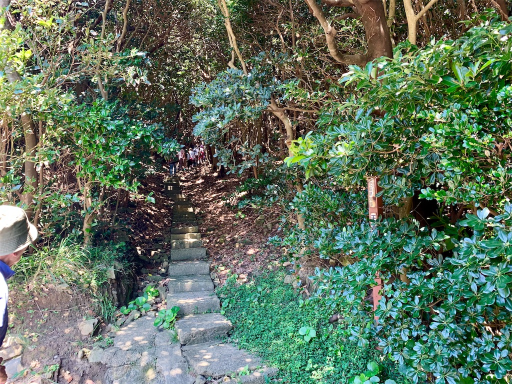 f:id:tuberculin:20190802135512j:image f:id:tuberculin:20190802135512j:image