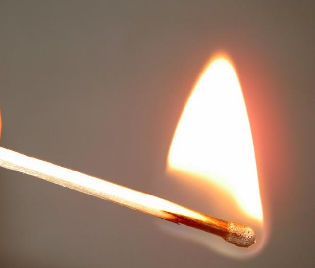 f:id:tuberculin:20190819221346j:plain f:id:tuberculin:20190819221346j:plain