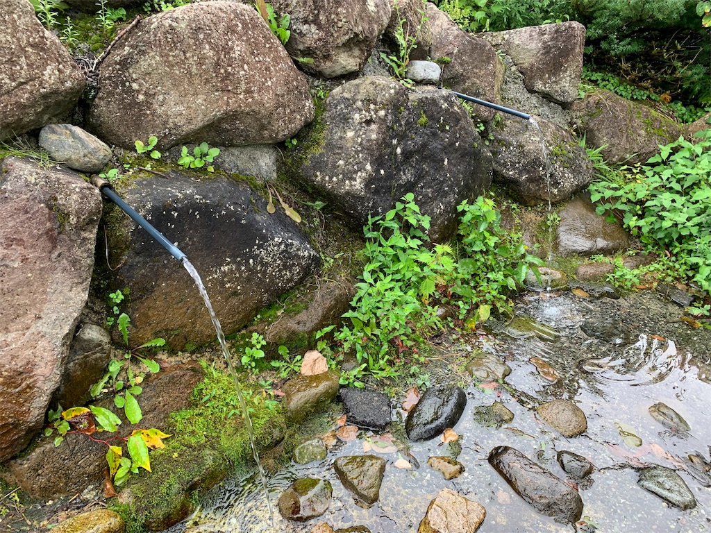 f:id:tuberculin:20190820204039j:image