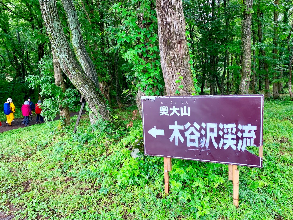 f:id:tuberculin:20190820204045j:image