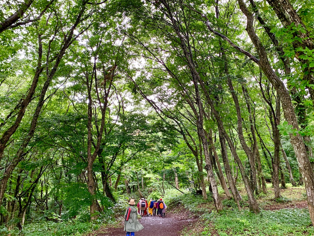 f:id:tuberculin:20190820204106j:image