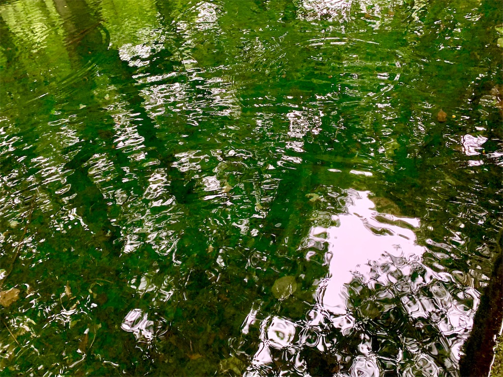 f:id:tuberculin:20190820204158j:image