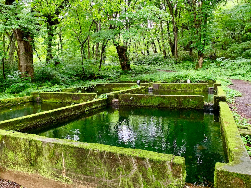 f:id:tuberculin:20190820204203j:image